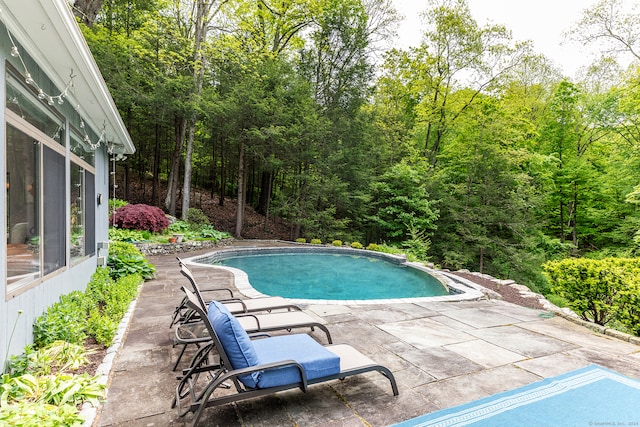 view of swimming pool with a patio