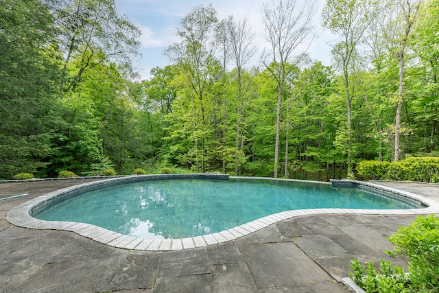 view of swimming pool with a patio area