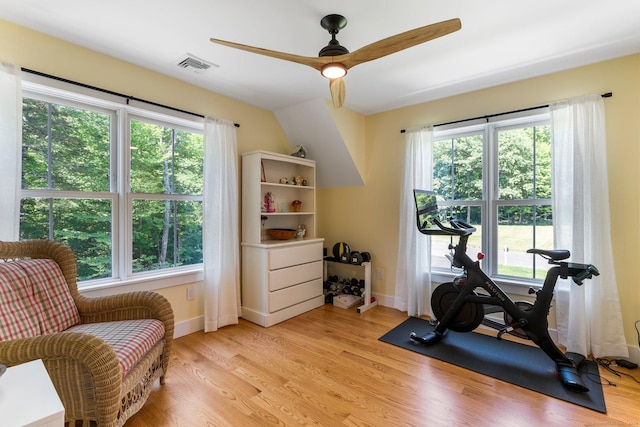 workout room with ceiling fan, plenty of natural light, and light wood-type flooring