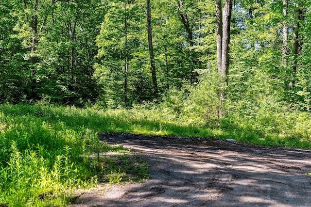 view of road