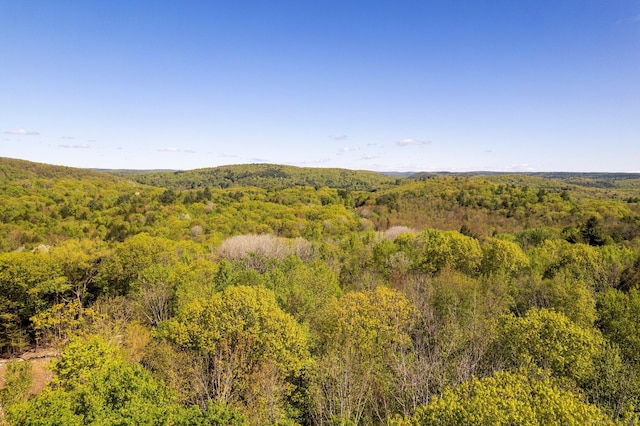 2 Bsullak Rd, Barkhamsted, CT 06063
