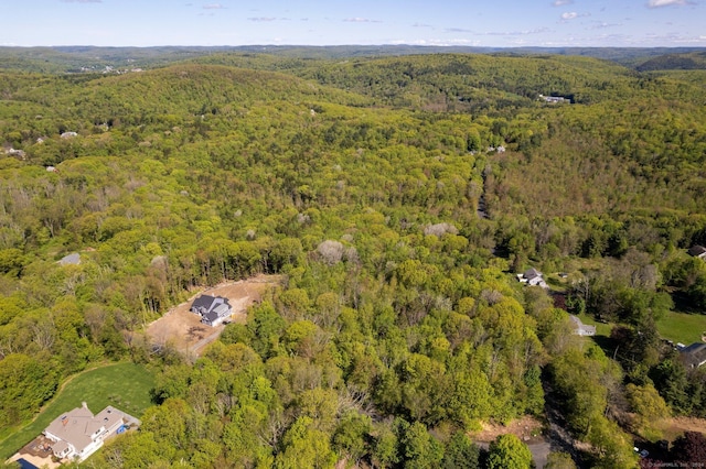 2 Bsullak Rd, Barkhamsted, CT 06063