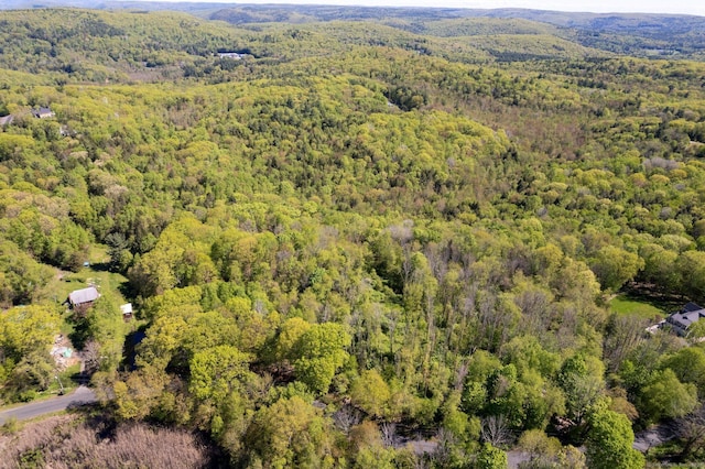 2 Bsullak Rd, Barkhamsted, CT 06063