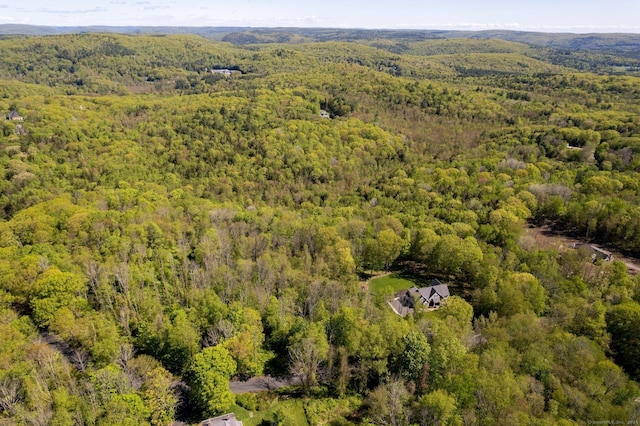 2 Bsullak Rd, Barkhamsted, CT 06063