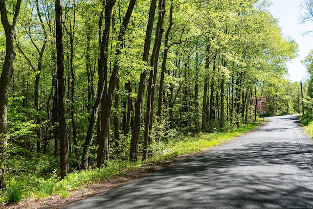 2 Bsullak Rd, Barkhamsted, CT 06063