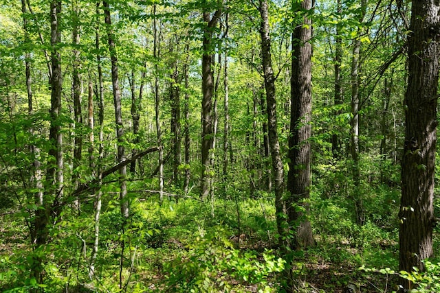 2 Bsullak Rd, Barkhamsted, CT 06063