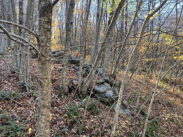 Listing photo 2 for 0 Silver Hill Rd Lot7, Sharon CT 06069