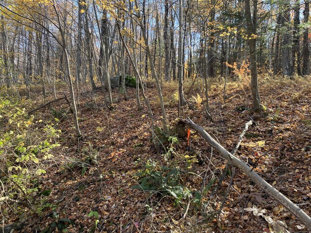 0 Silver Hill Rd Lot8, Sharon, CT 06069 - photo 3
