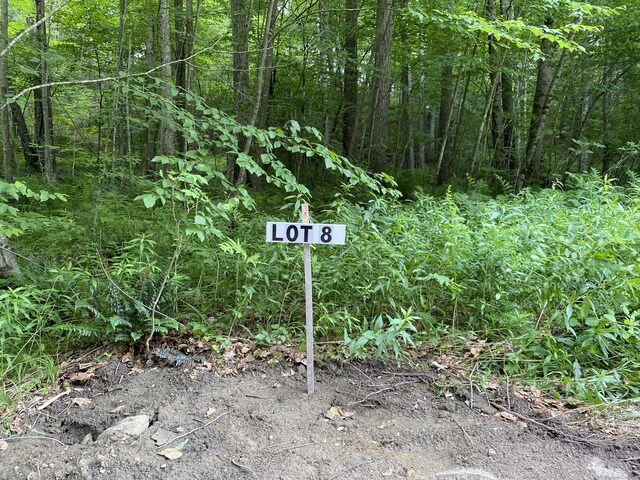 0 Silver Hill Rd Lot8, Sharon, CT 06069 - photo 6