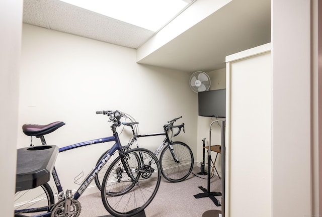 18 Hunters Ridge Rd, Southbury, CT 06488 - exercise room with carpet and baseboards
