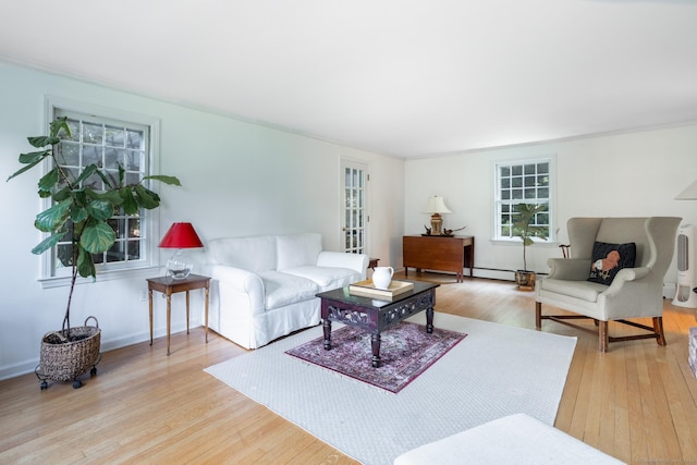 living room with plenty of natural light and light hardwood / wood-style floors