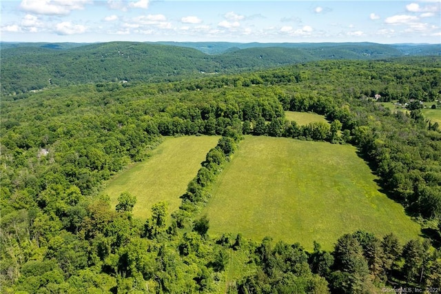 0 Chestnut Land Rd, New Milford, CT 06776 - photo 1