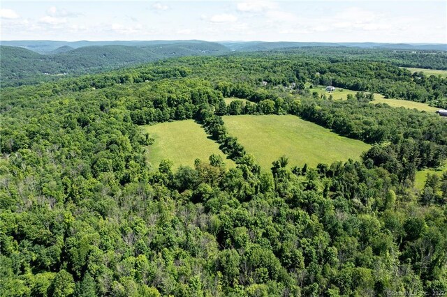 0 Chestnut Land Rd, New Milford, CT 06776 - photo 3