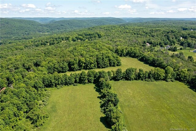 0 Chestnut Land Rd, New Milford, CT 06776 - photo 4