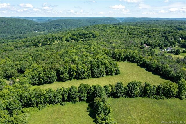 0 Chestnut Land Rd, New Milford, CT 06776 - photo 6