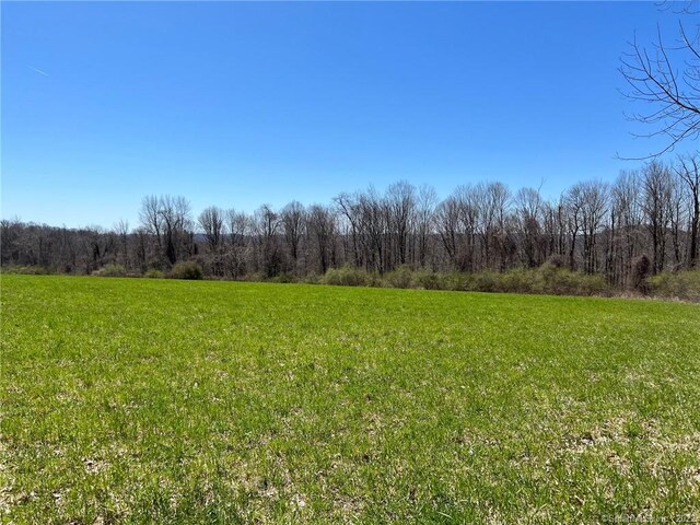 0 Chestnut Land Rd, New Milford, CT 06776 - photo 8