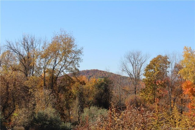 0 Chestnut Land Rd, New Milford, CT 06776 - photo 15