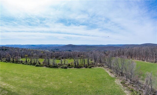 0 Chestnut Land Rd, New Milford, CT 06776 - photo 19