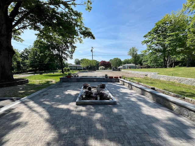 view of community featuring a patio area and a yard