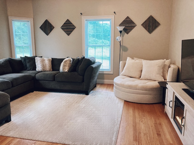 living room featuring light hardwood / wood-style floors and a wealth of natural light