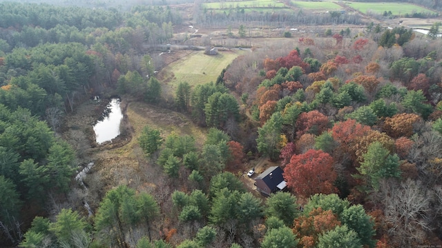 645 S Plains Rd, Litchfield, CT 06759 - photo 40