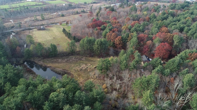 645 S Plains Rd, Litchfield, CT 06759 - photo 31