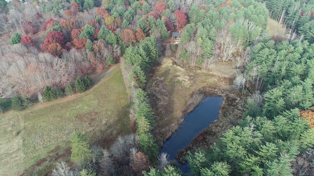 645 S Plains Rd, Litchfield, CT 06759 - photo 2