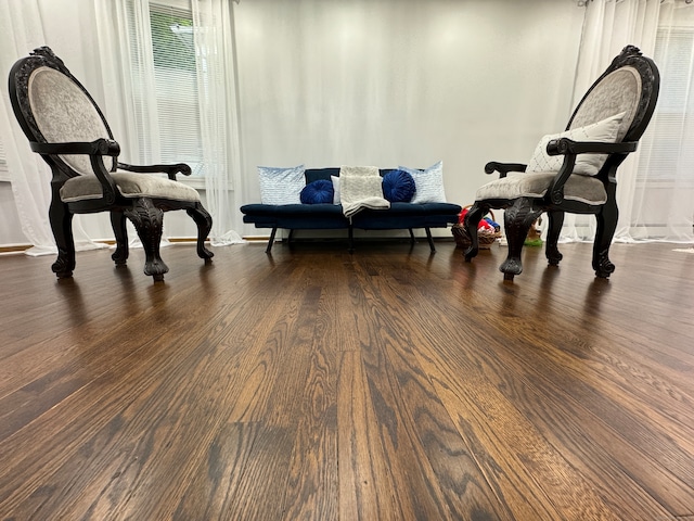 living area with dark hardwood / wood-style flooring