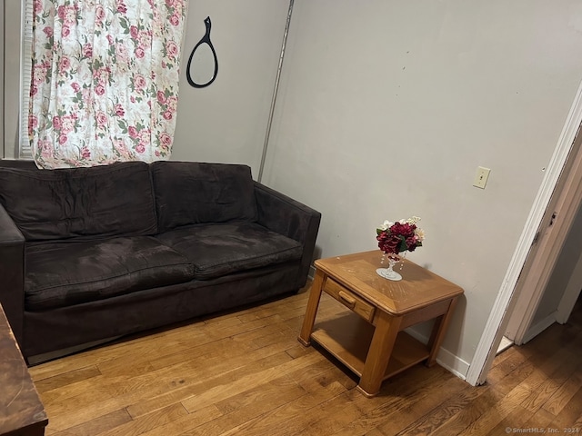 living room featuring light wood-type flooring