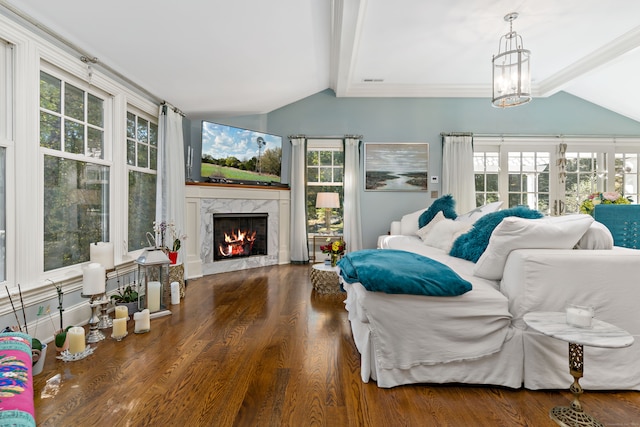 living room featuring dark wood-type flooring and a wealth of natural light