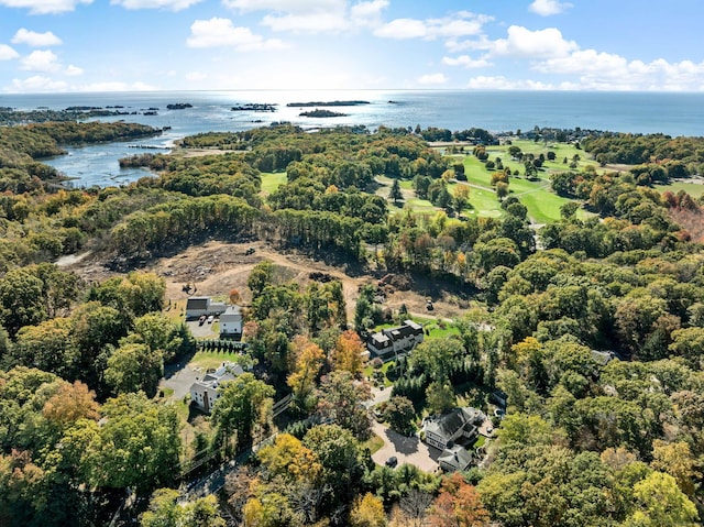 85 Totoket Rd, Branford, CT 06405 - photo 32