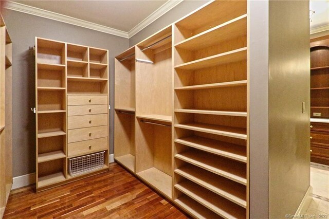 walk in closet with hardwood / wood-style floors