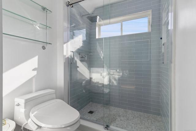 bathroom featuring toilet and a stall shower