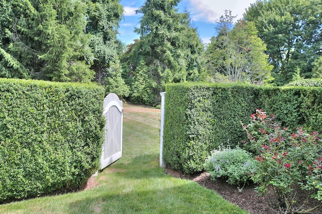 view of yard