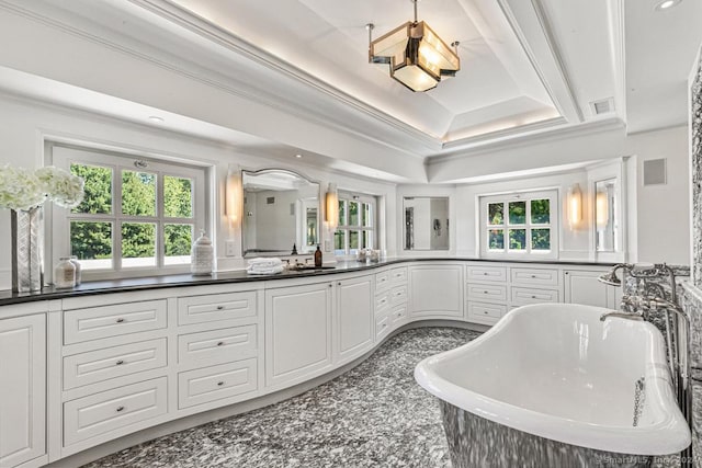 bathroom with a raised ceiling, a washtub, vanity, and a healthy amount of sunlight