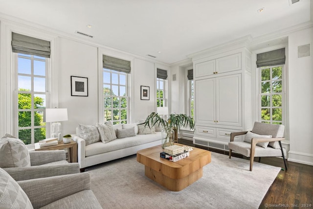 living room with crown molding and dark wood-type flooring