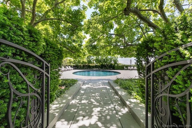 view of pool featuring a patio