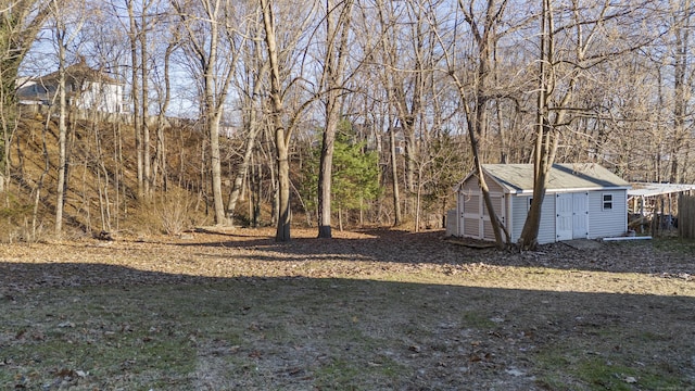 view of yard featuring a storage shed