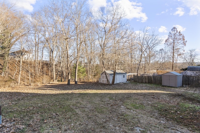 view of yard with a storage unit