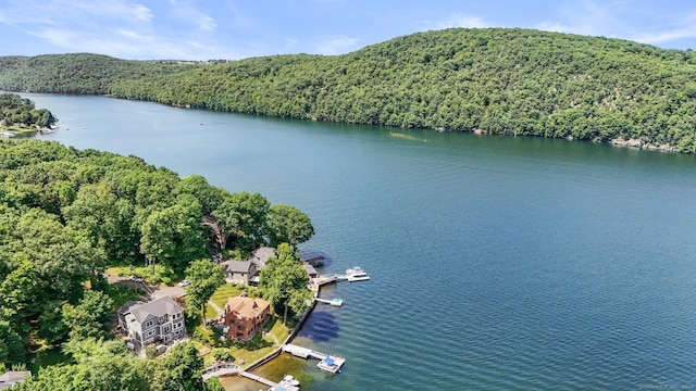 262 Great Plain Rd Unit 13, Danbury, CT 06810 - drone / aerial view of a forest and a nearby body of water