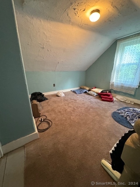 additional living space featuring a textured ceiling, carpet flooring, and vaulted ceiling