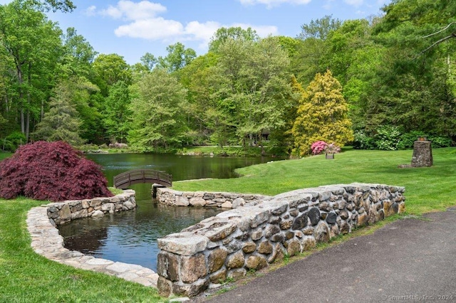 view of community with a water view and a yard