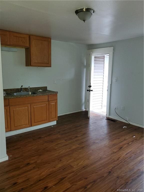 kitchen featuring dark wood-type flooring and sink