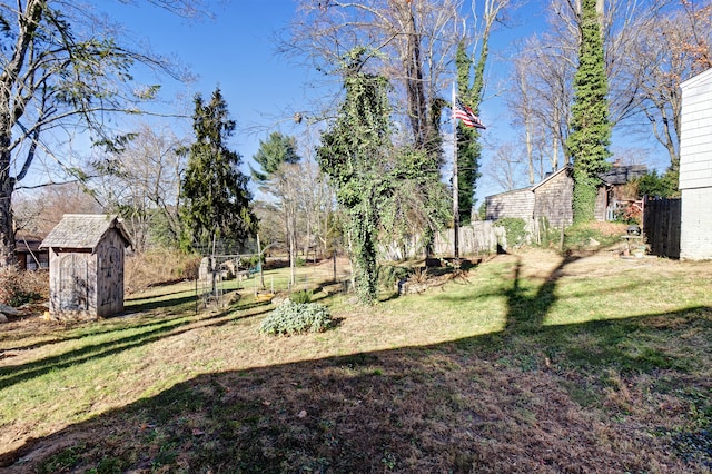 view of yard featuring a shed