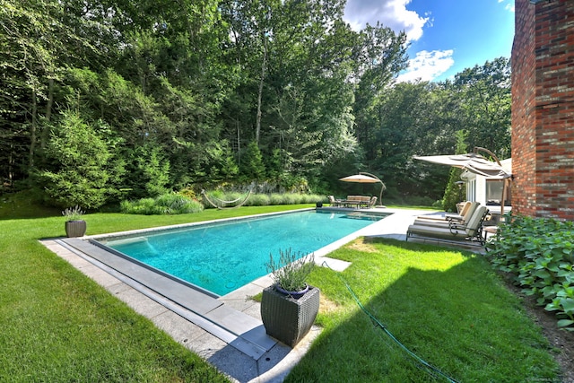 view of swimming pool featuring a yard and a patio