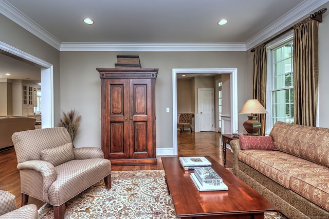 living room featuring crown molding and dark wood-type flooring