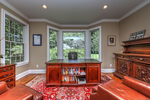 home office with ornamental molding and hardwood / wood-style flooring