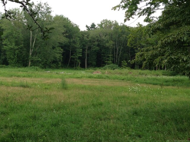 136L Carter St, New Canaan, CT 06840 - photo 3
