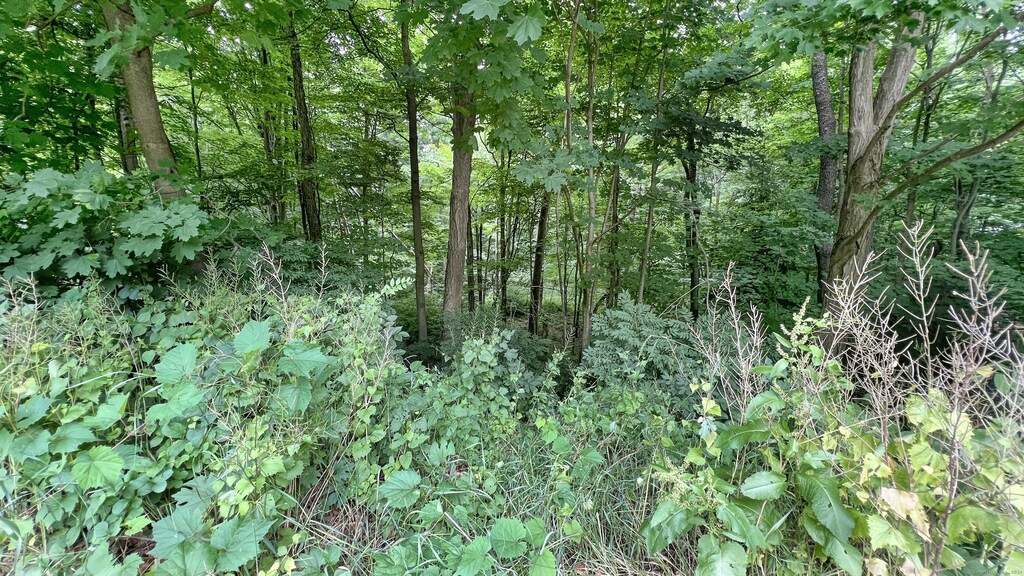 171 Center Rd, Vernon, CT 06066 - photo 1