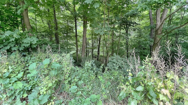 171 Center Rd, Vernon, CT 06066 - photo 1